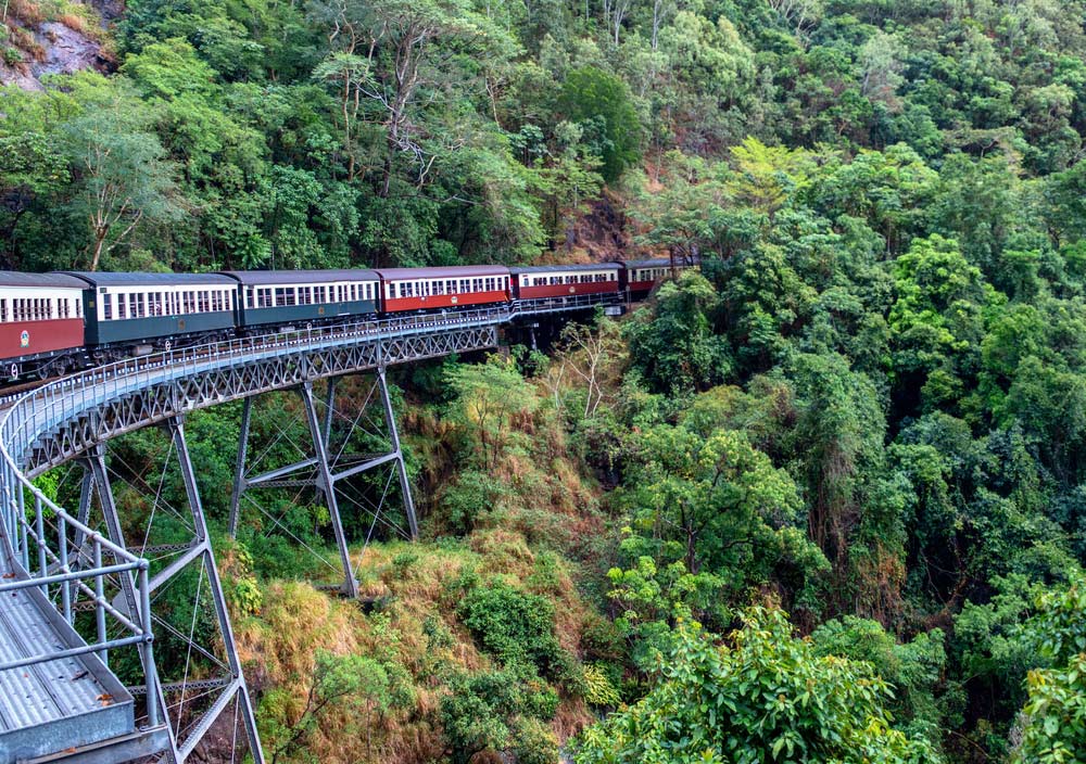 ケアンズからキュランダへ向かう観光列車「キュランダ・シーニック鉄道」が熱帯雨林の渓谷を走り抜ける様子