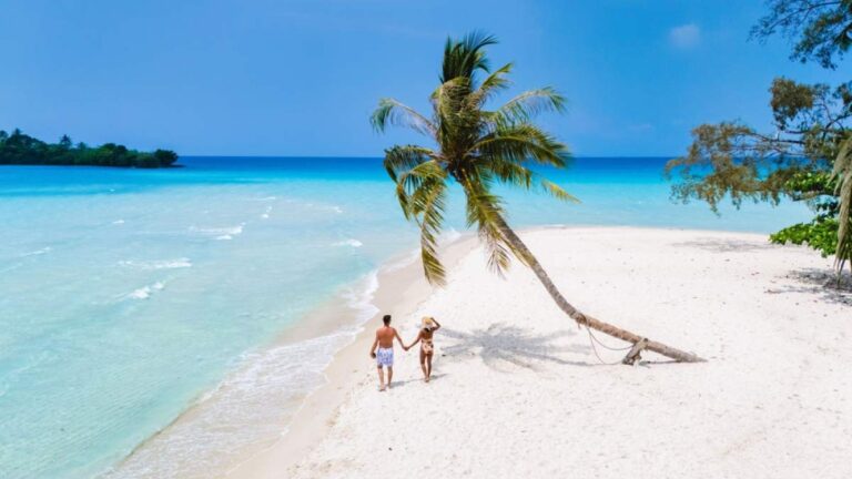 白い砂浜と青い海を散歩するカップル。