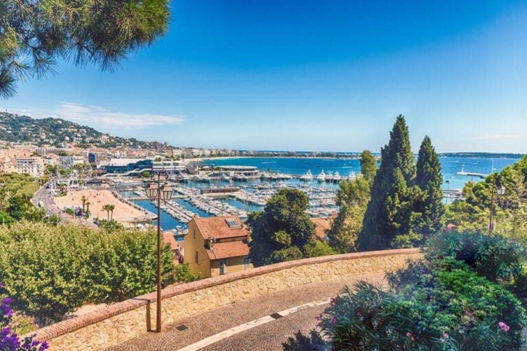 カンヌ旧市街の高台から望む港の景色で、ヨットが並ぶマリーナと青い海、街並みが広がる風景