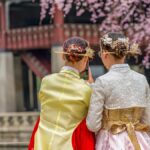 桜の下で韓服を着た2人の女性が韓国の宮殿を観光している様子