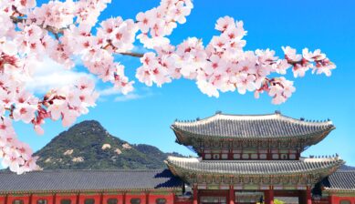 韓国・ソウルの景福宮（キョンボックン）の正門、光化門（クァンファムン）