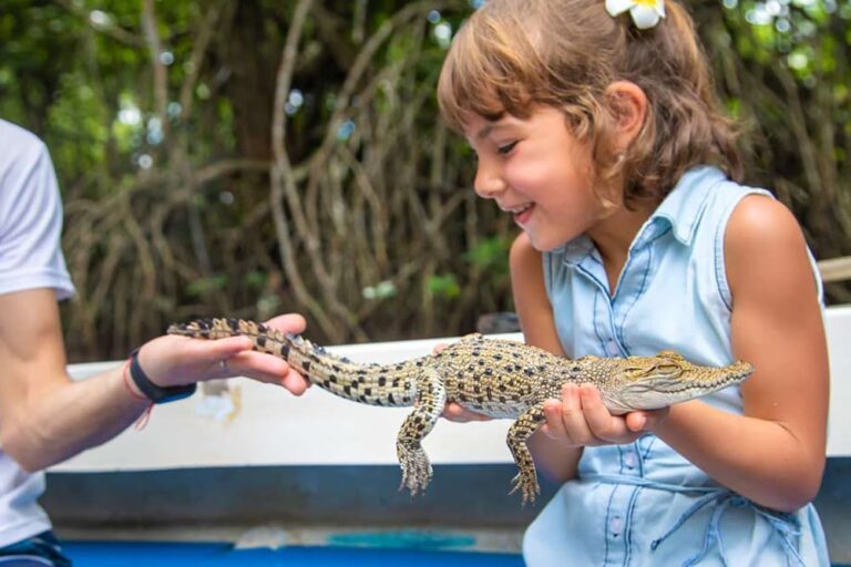 ブリスベン周辺の動物園で赤ちゃんワニを笑顔で抱える女の子