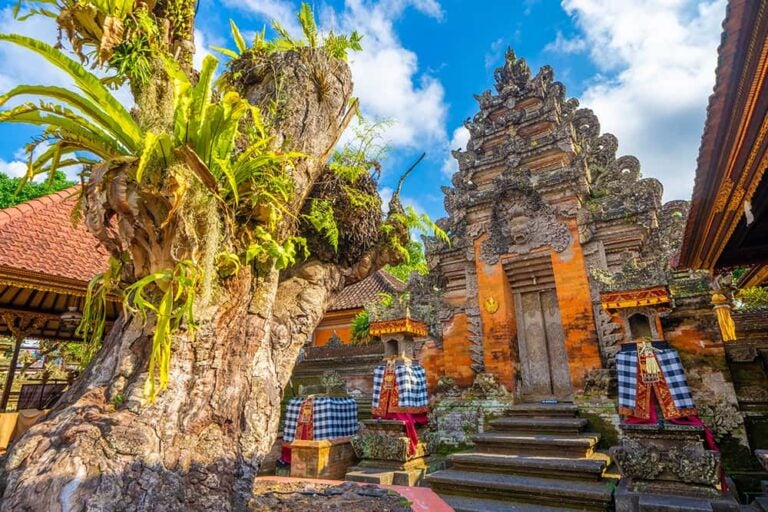 バリ島のヒンドゥー寺院の精緻な彫刻と伝統的な装飾