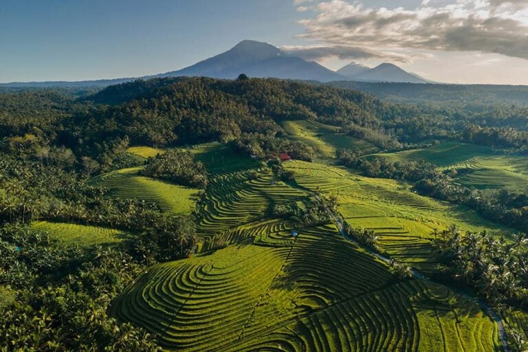 山々を背景に広がるバリ島の棚田の空撮風景