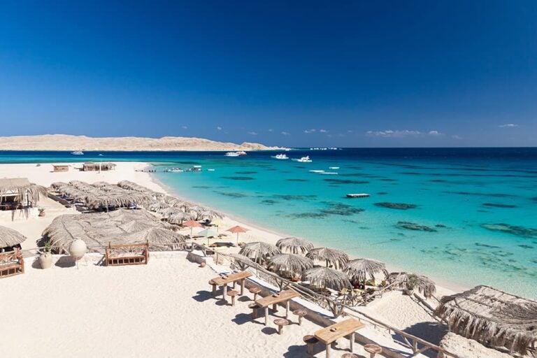 スマートフォンに届いた警告通知を確認する旅行者の手元