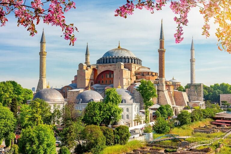 春の桜越しに見るイスタンブール・アヤソフィアの外観