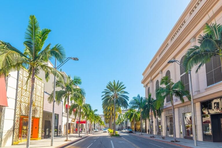 ヤシの木が並ぶロサンゼルス・ビバリーヒルズの高級ショッピング通り