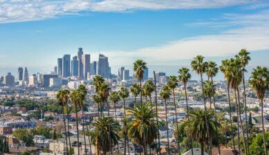 ヤシの木越しに望むロサンゼルスのダウンタウンと街並みの全景