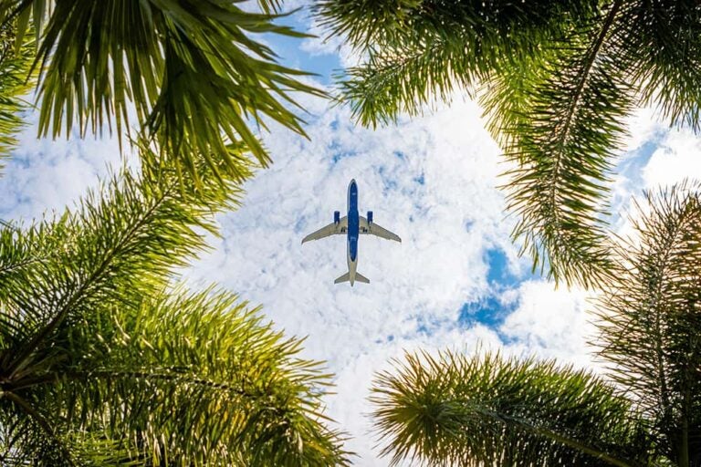 ヤシの木の間から見上げるハワイ上空を飛ぶ飛行機
