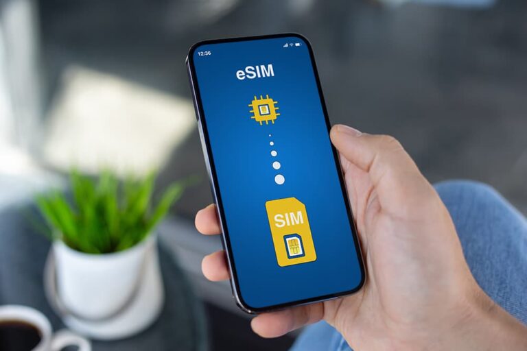 eSIMのアイコンが表示されたスマートフォンの画面を手に持つ様子