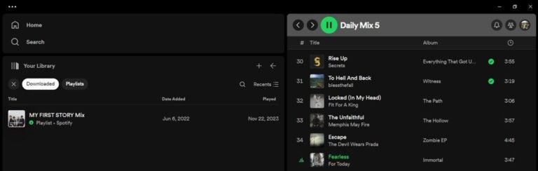 ダウンロードしたSpotifyのプレイリスト