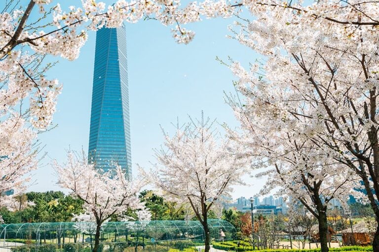 桜が咲く仁川・松島の公園と高層ビルを望む春の街並み