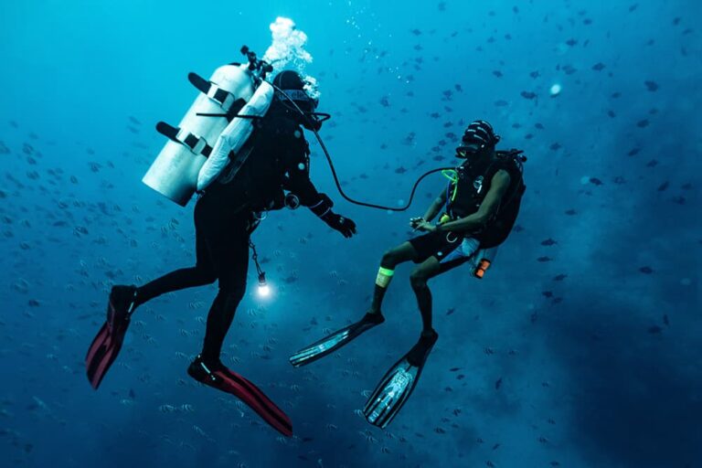 エジプトの人気観光地である紅海の美しい海中で、スキューバダイビングを楽しむ2人のダイバーの様子