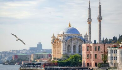 トルコの都市イスタンブールでの街歩きで訪れたい、ボスポラス海峡沿いに建つ壮麗なモスクと空を舞うカモメの美しい風景