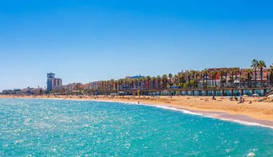 秋の旅行先としても人気の高い、青い海とヤシの木が並ぶバルセロナの美しいビーチの風景