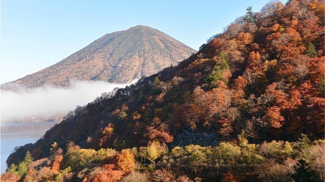 東京賞楓景點 #2|日光