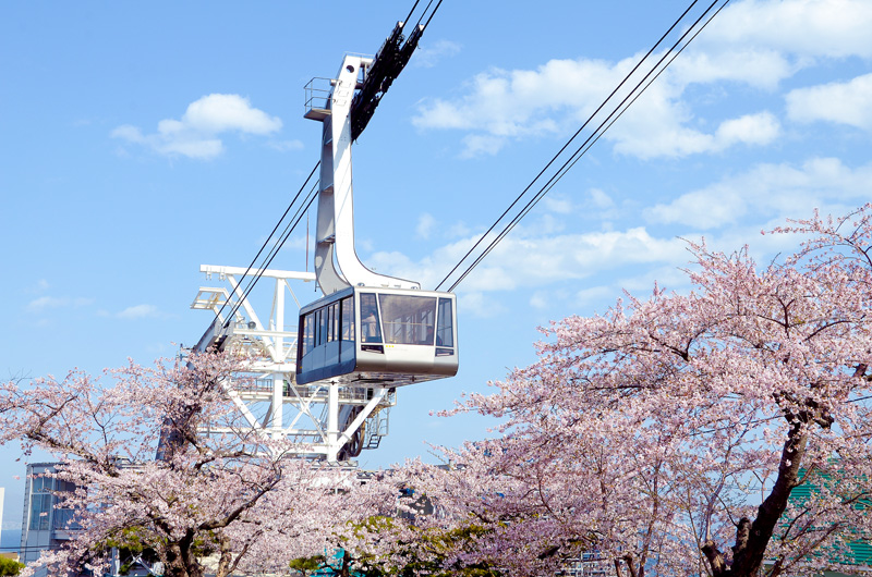 函館山