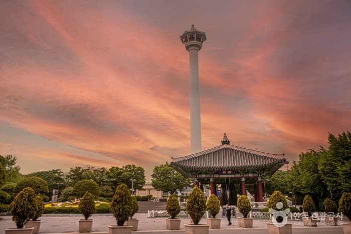 釜山自由行景點推薦：釜山塔