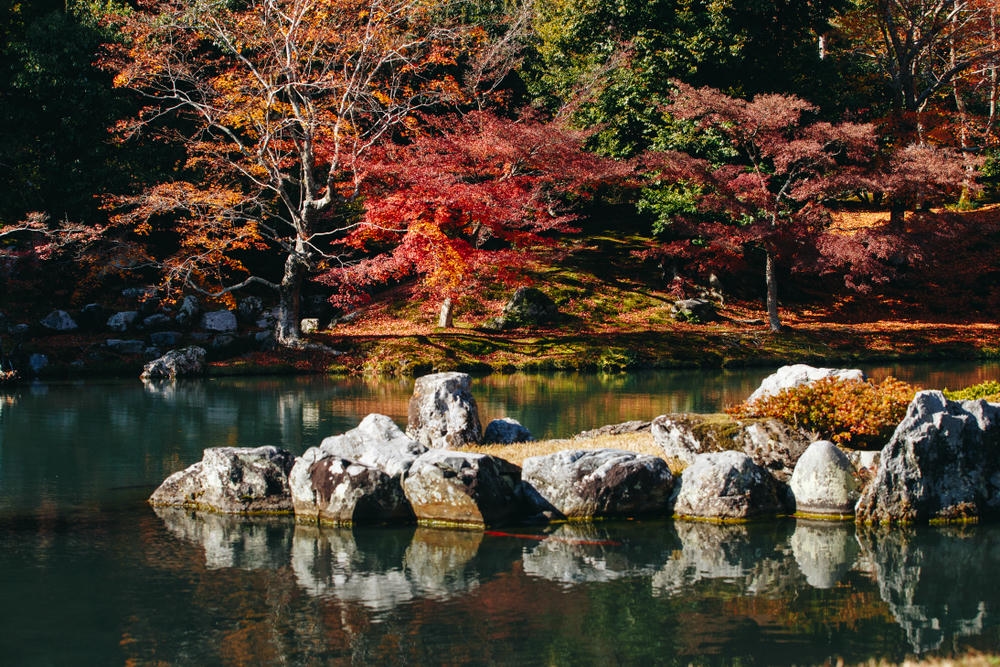 秋季(9 月至 11 月):賞楓紅、賞銀杏