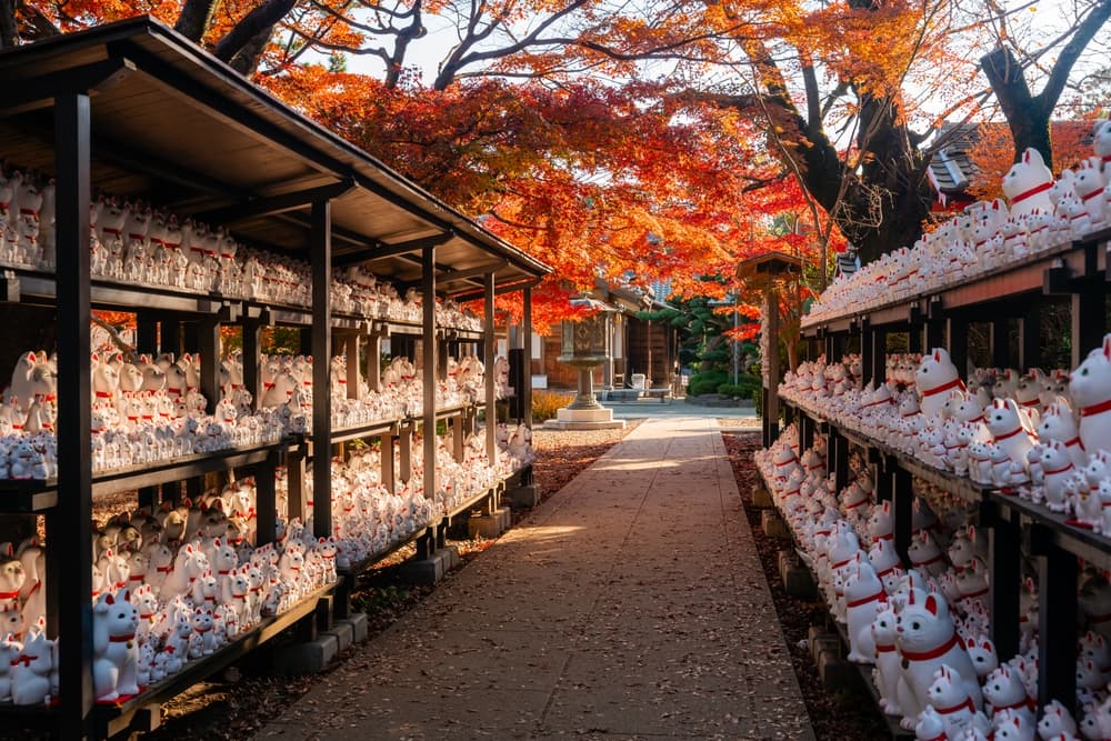 豪德寺