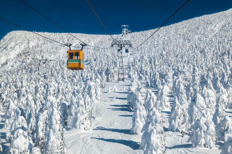 藏王溫泉滑雪度假村