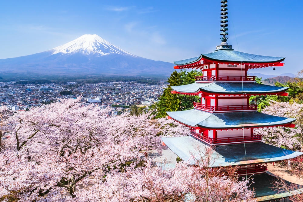 日本春季賞櫻