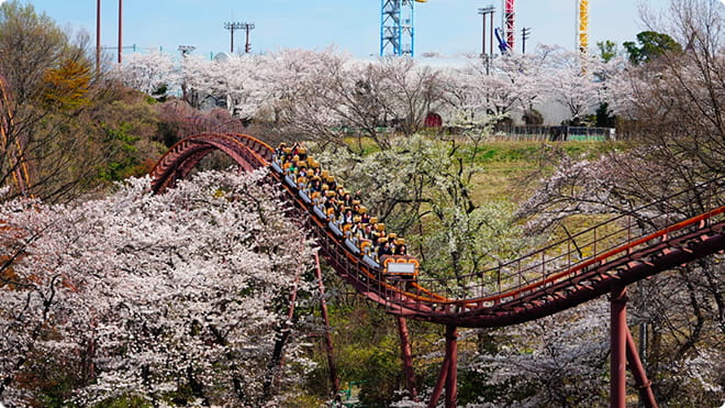 讀賣樂園