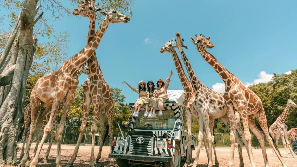 曼谷景點推薦 #14 | Safari Park 北碧府野生動物園