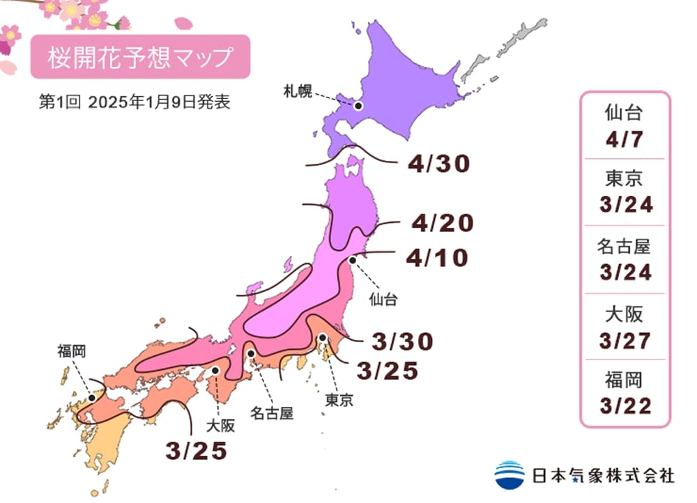 2025 日本櫻花前線預測開花情報