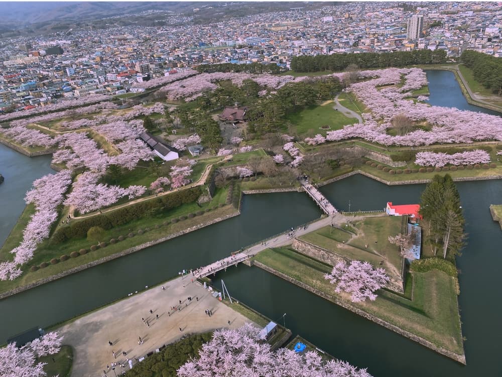 北海道賞櫻推薦：五陵郭公園