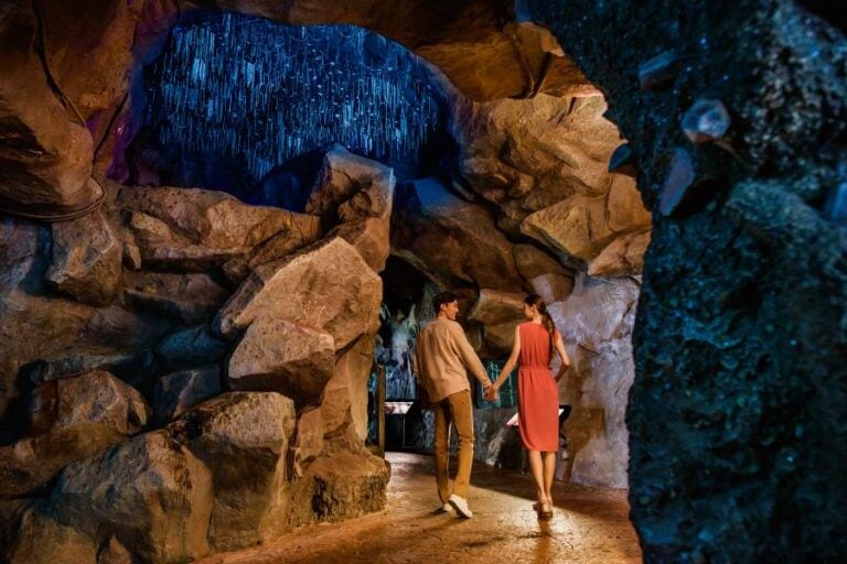 新加坡自由行景點推薦 #3 | 夜間動物園