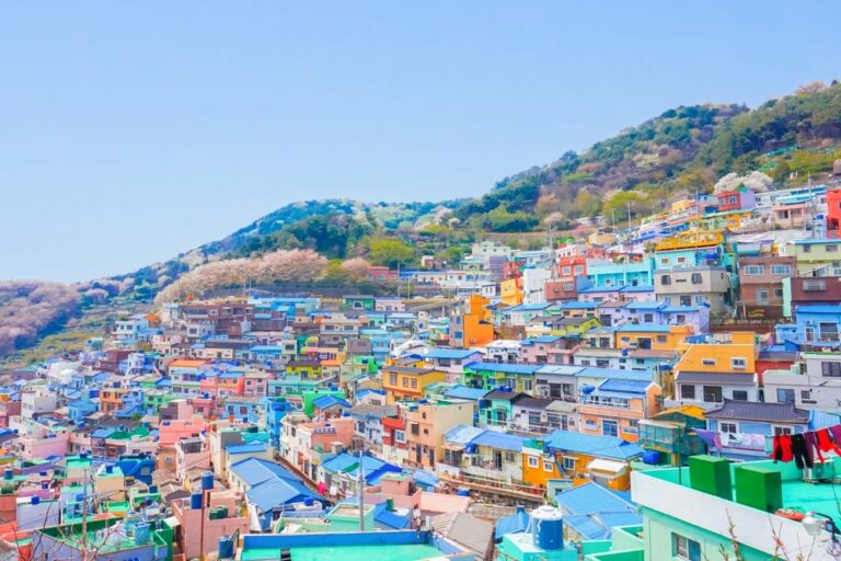 釜山賞櫻推薦 #10｜甘川洞文化村