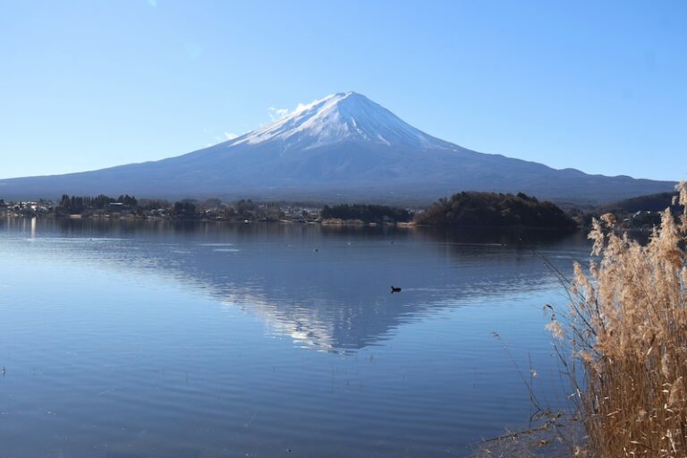 河口湖景點 #2|大石公園