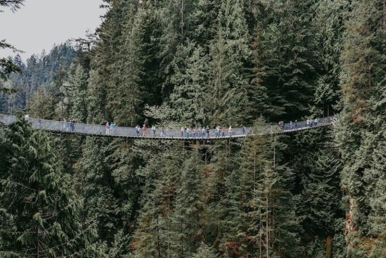 加拿大夏天推薦景點：卡布基諾吊橋（Capilano Suspension Bridge）