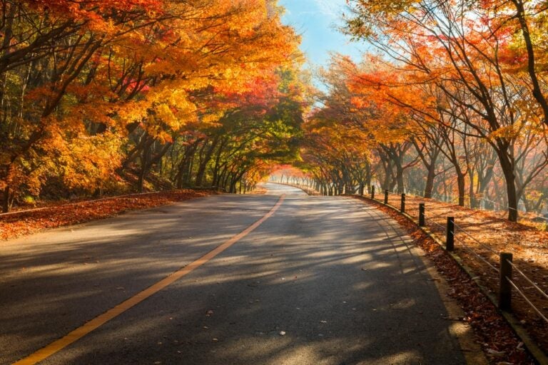 韓國旅遊季節：秋天