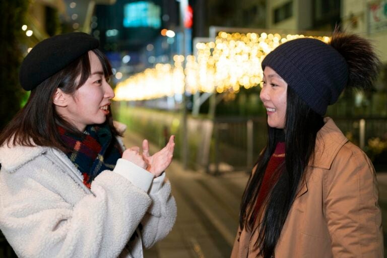 日本旅遊翻譯 App