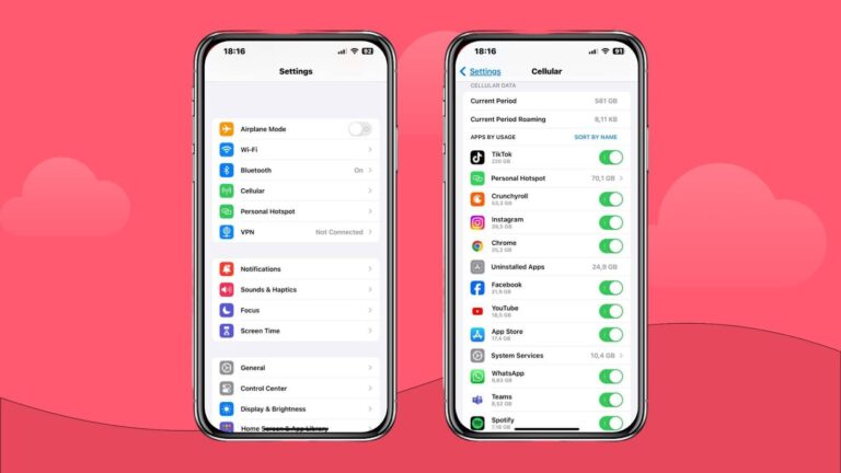 شاشتان على iPhone توضحان إعدادات البيانات الخلوية واستخدام البيانات

