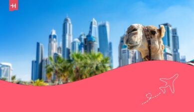 جمل على شاطئ جميرا في دبي مع ناطحات سحاب المارينا في الإمارات العربية المتحدة.