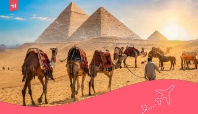 جِمال وأهرامات الجيزة، وجهة سياحية تحتاج إلى الإنترنت في مصر