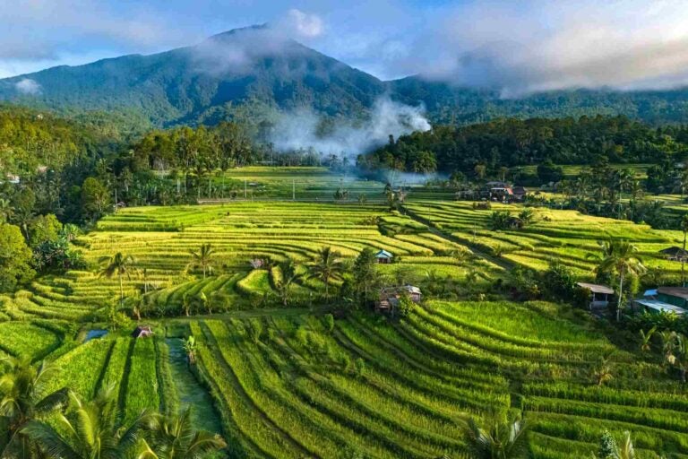 贾蒂鲁维水稻梯田