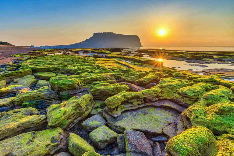 jeju island