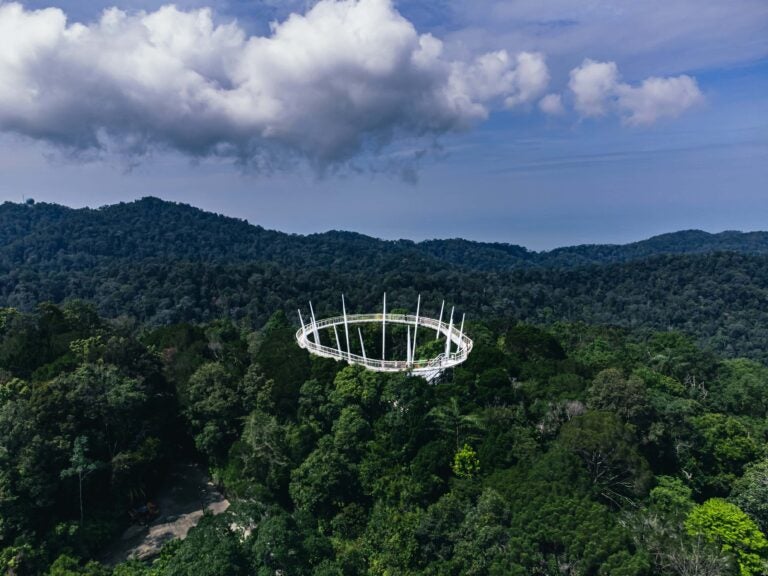 槟城升旗山热带雨林中的 Curtis Crest 空中步道