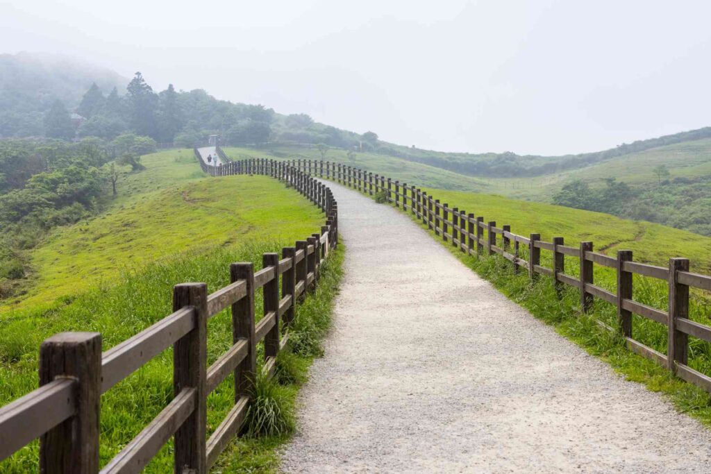 阳明山