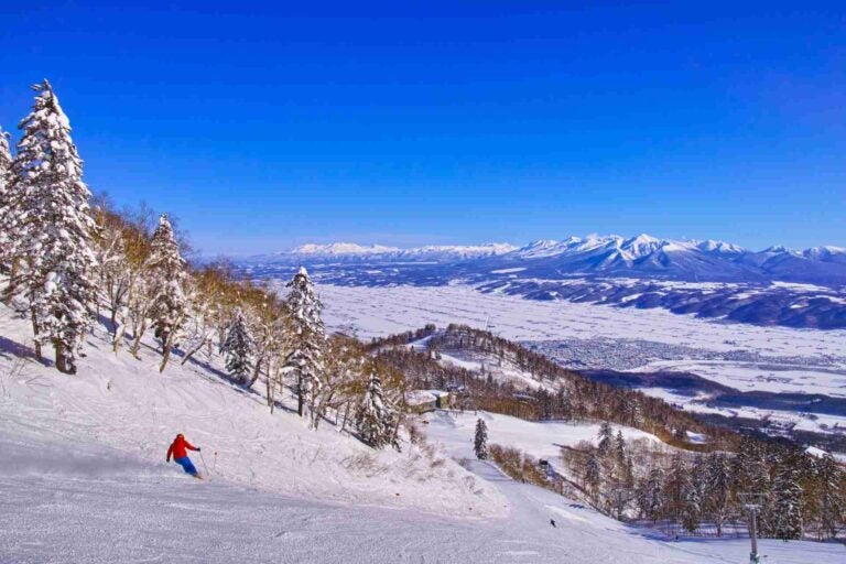 富良野滑雪场