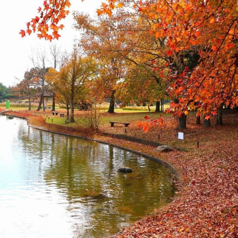海中道海滨公园