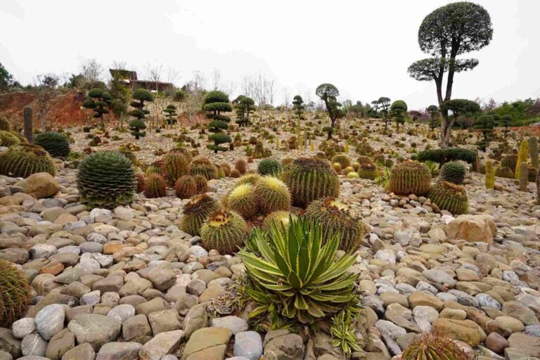 太平湖国际生态旅游度假区