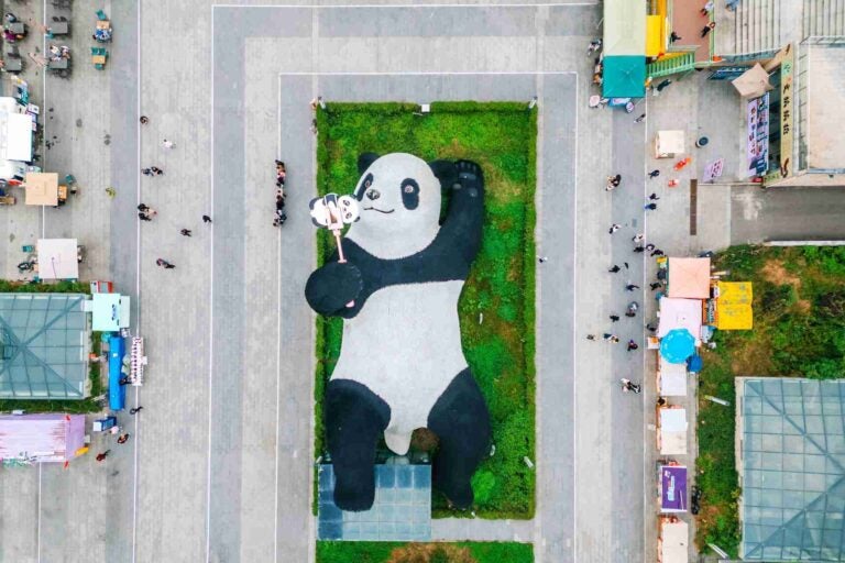 成都都江堰熊猫谷