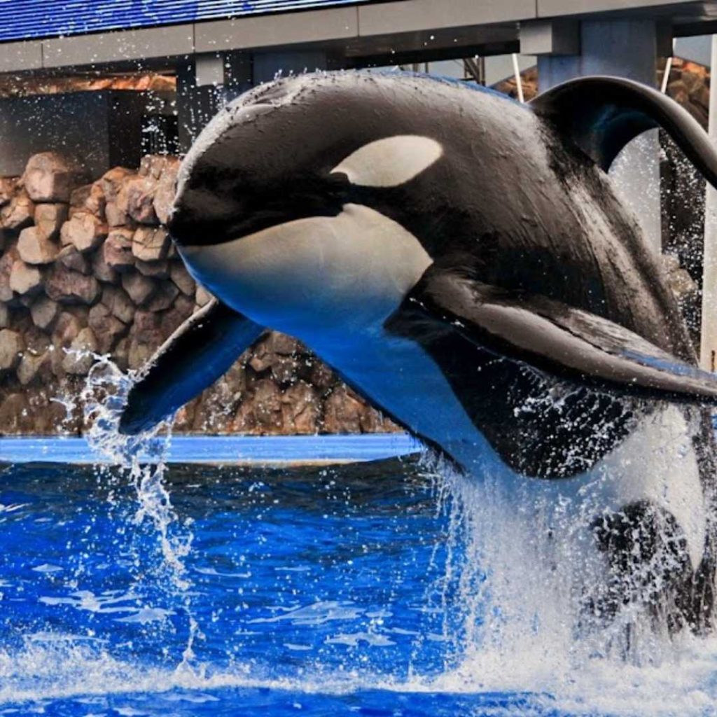 名古屋景点：名古屋港水族馆