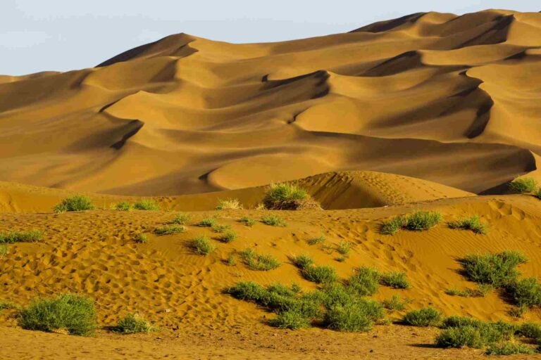 塔克拉玛干沙漠