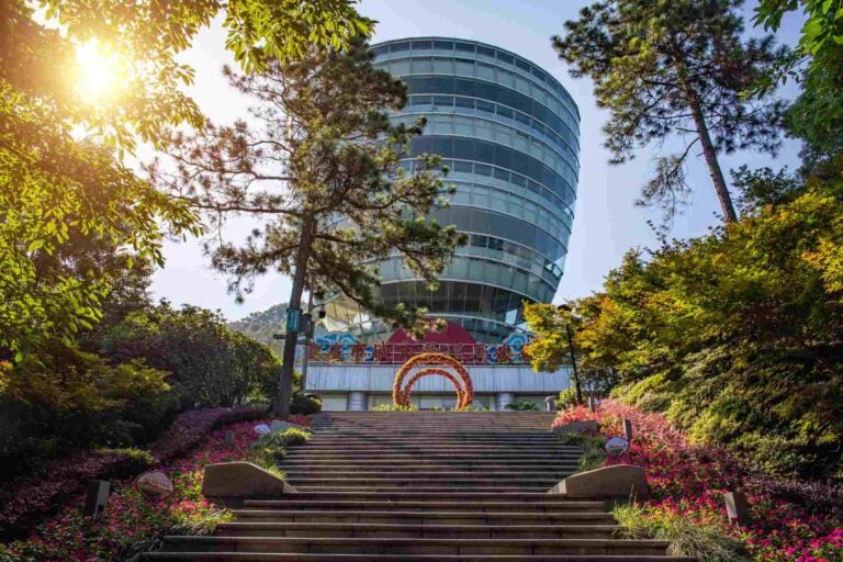 南山一棵树观景台